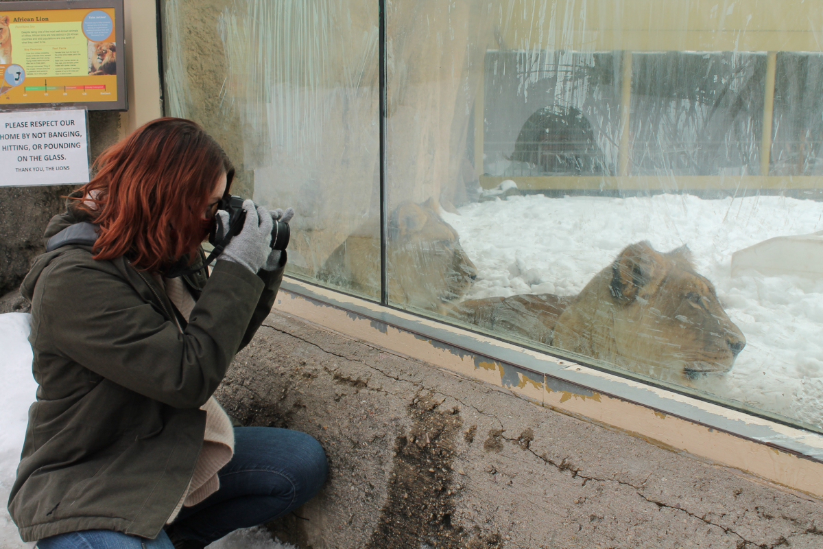 Local Marketing Internship