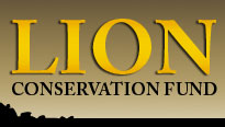 Lion Conservation Fund