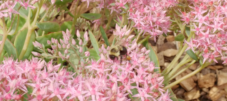 AZA Membership Reciprocal List