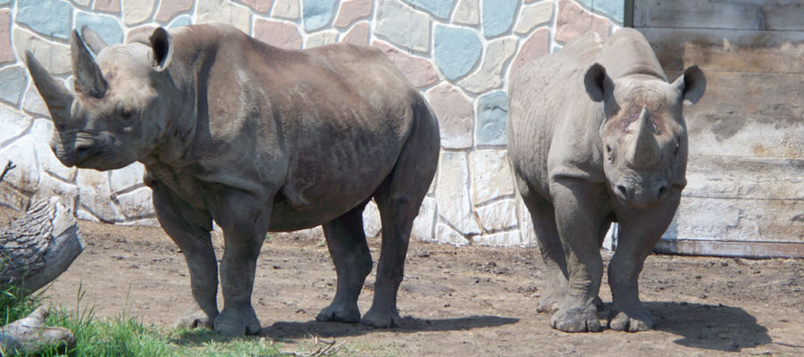 Online Privacy Policy